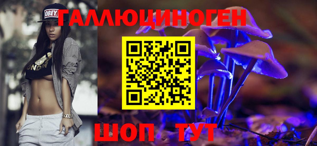 Псилоцибиновые грибы мухоморы  Псилоцибиновые грибы Psilocybine cubensis  Краснокамск  Вход с VPN 